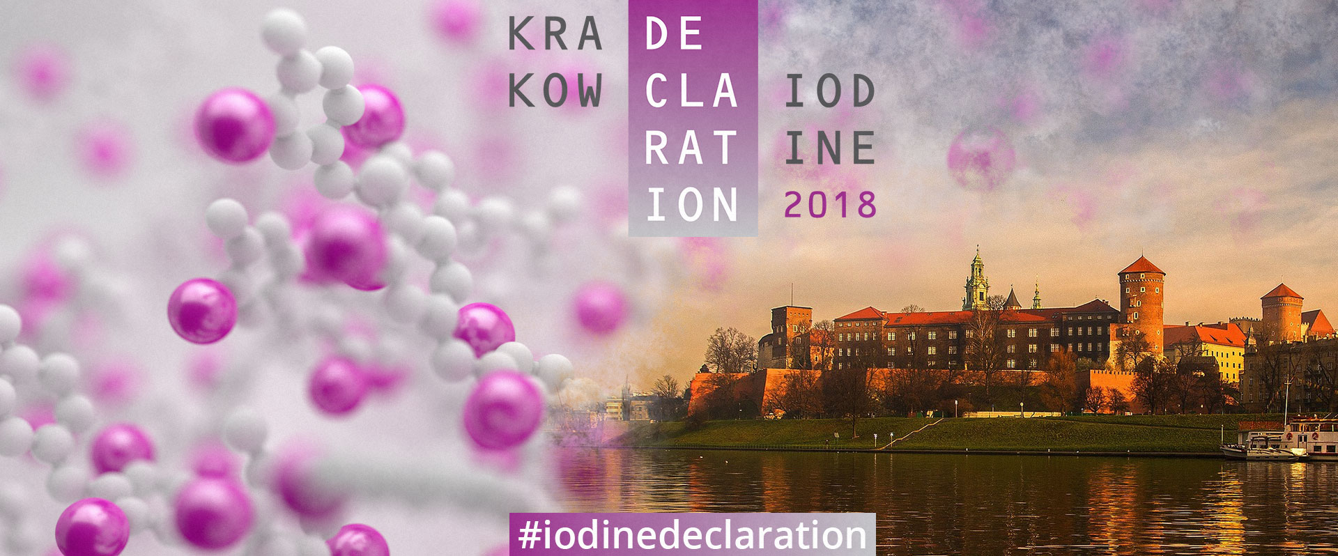 The Krakow Declaration on Iodine